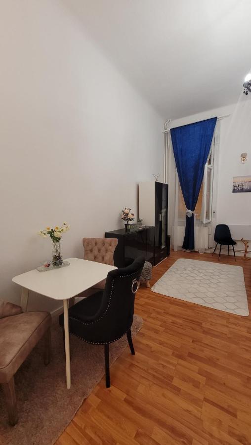 Opera Residence - Ultracentral Cozy accommodation Timisoara Esterno foto