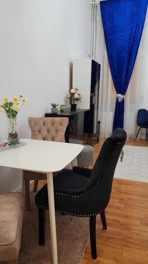 Opera Residence - Ultracentral Cozy accommodation Timisoara Esterno foto