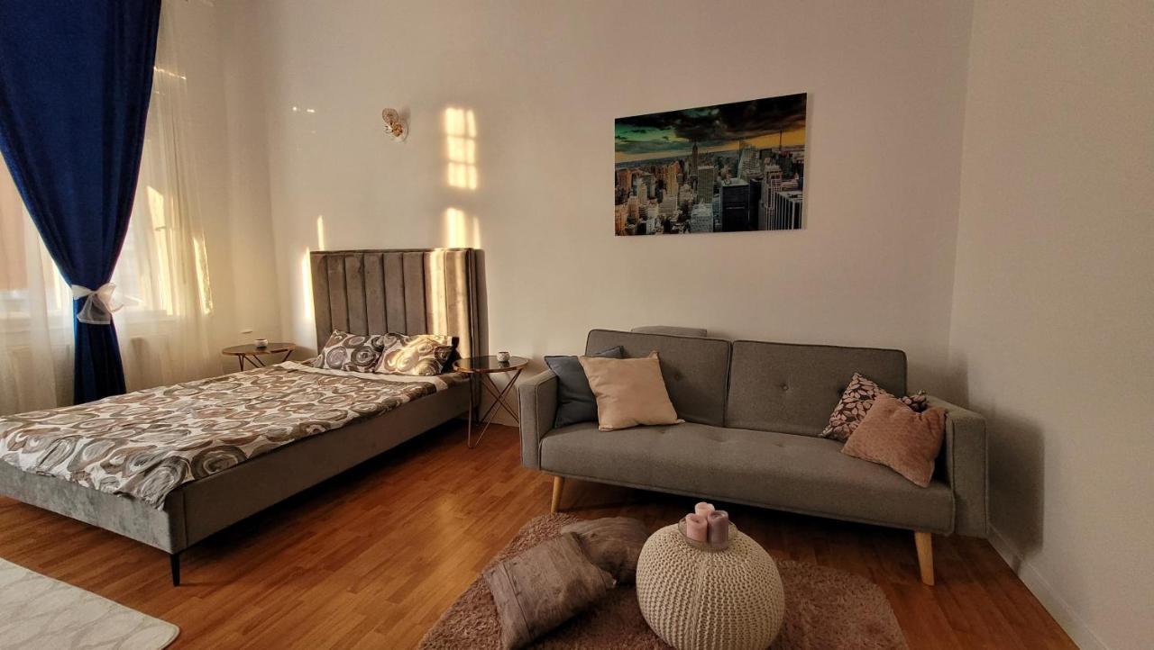 Opera Residence - Ultracentral Cozy accommodation Timisoara Esterno foto