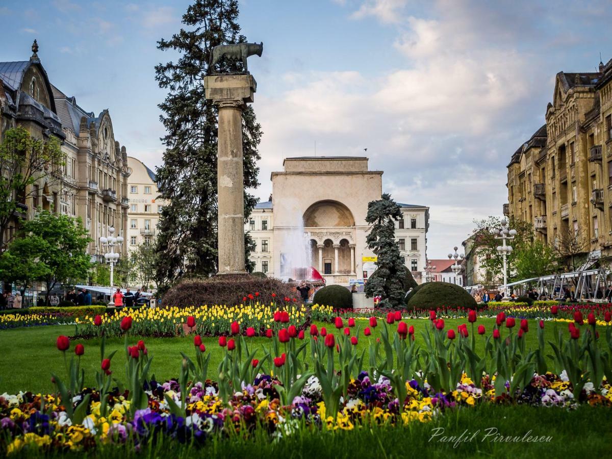 Opera Residence - Ultracentral Cozy accommodation Timisoara Esterno foto