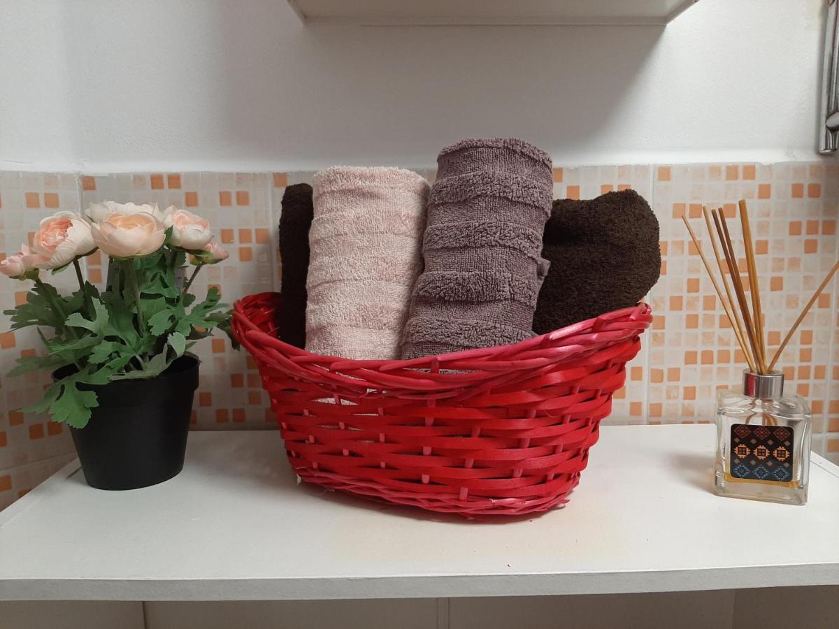 Opera Residence - Ultracentral Cozy accommodation Timisoara Esterno foto